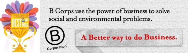 B Corps best for the world