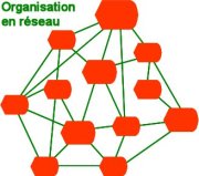 Organisation en réseau