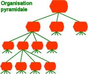Organisation pyramidale