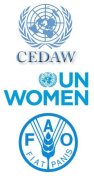CEDAW, ONU Femmes, FAO