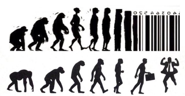 quelle évolution choisir.jpg