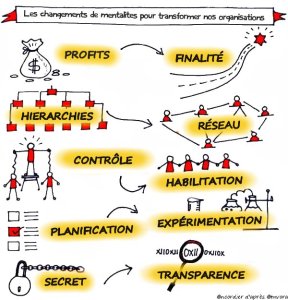 changement-de-mentalite-pour-transformer-nos-orgations